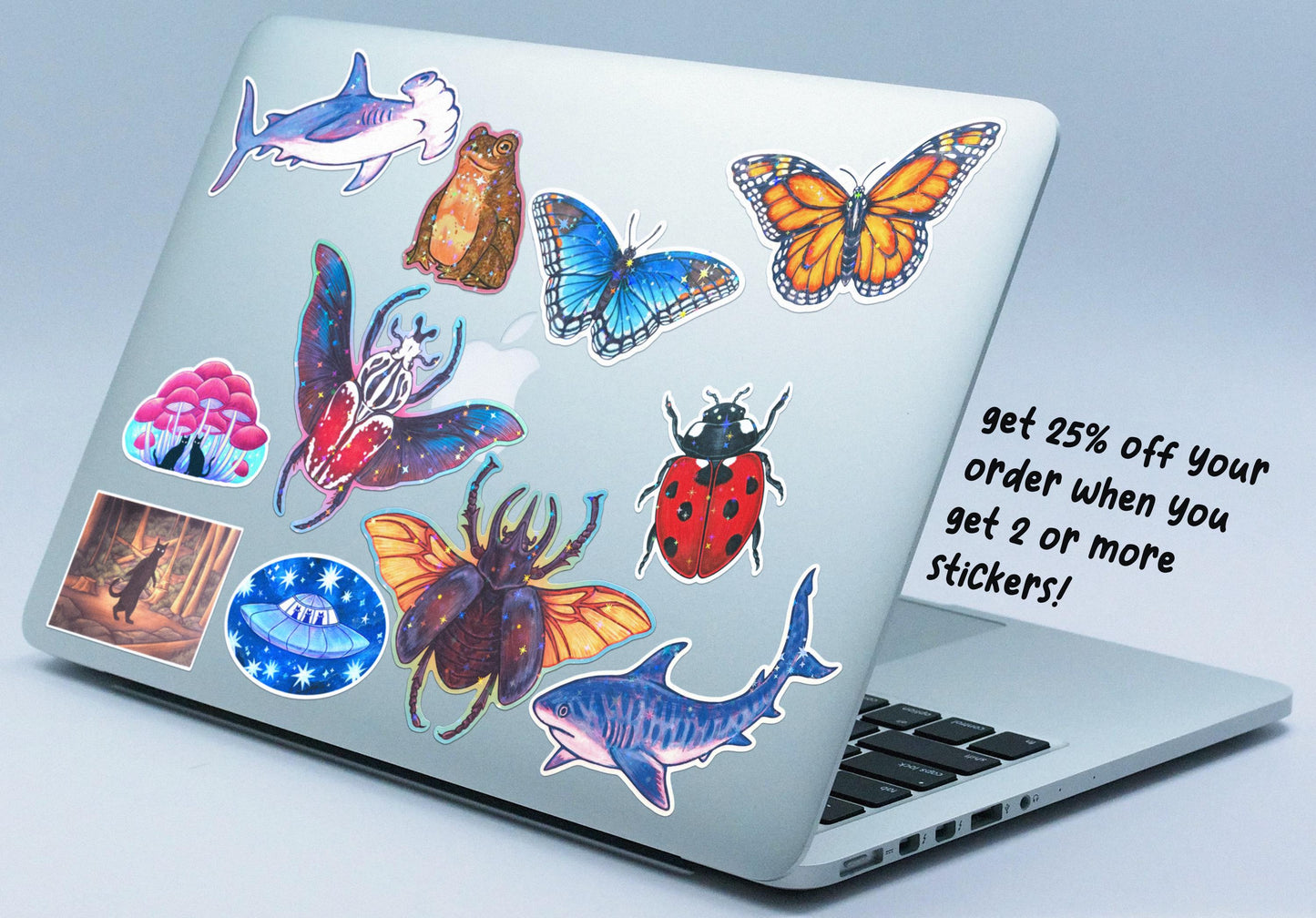 Holographic Toad Stickers / Fire-bellied + Common toad / handmade artist vinyl sticker / nature frog stationery