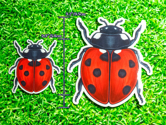 Two ladybug stickers with measurements on a grass background
