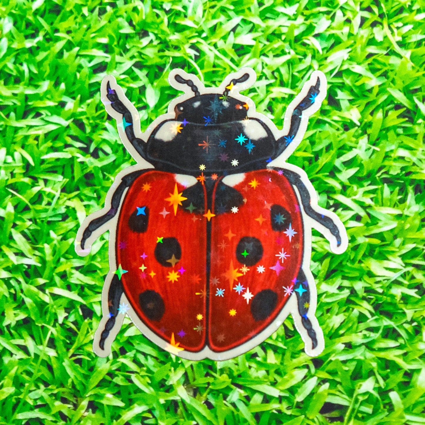 Ladybug Holograph Sticker / handmade artist vinyl sticker / nature stationery