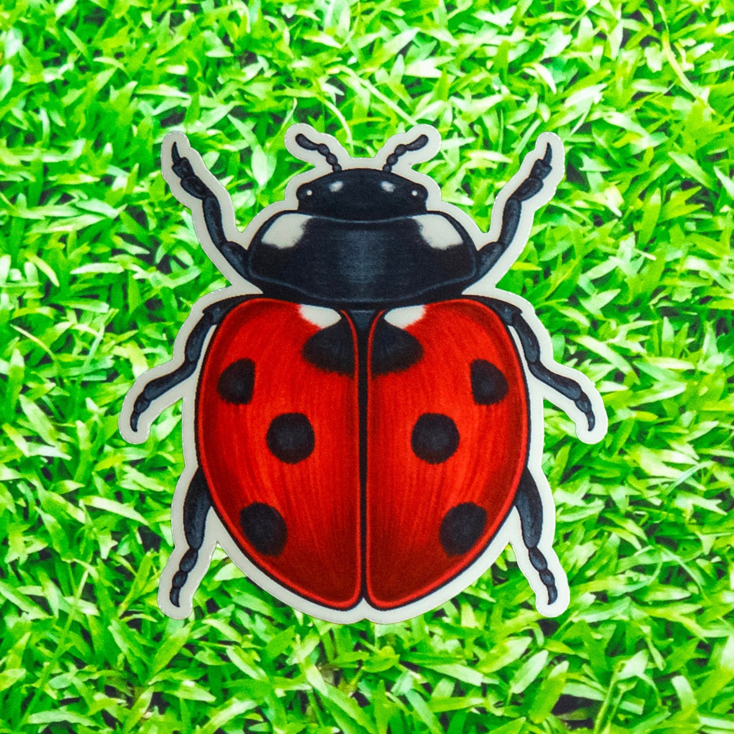 Sticker of a red ladybug with black spots on green grass