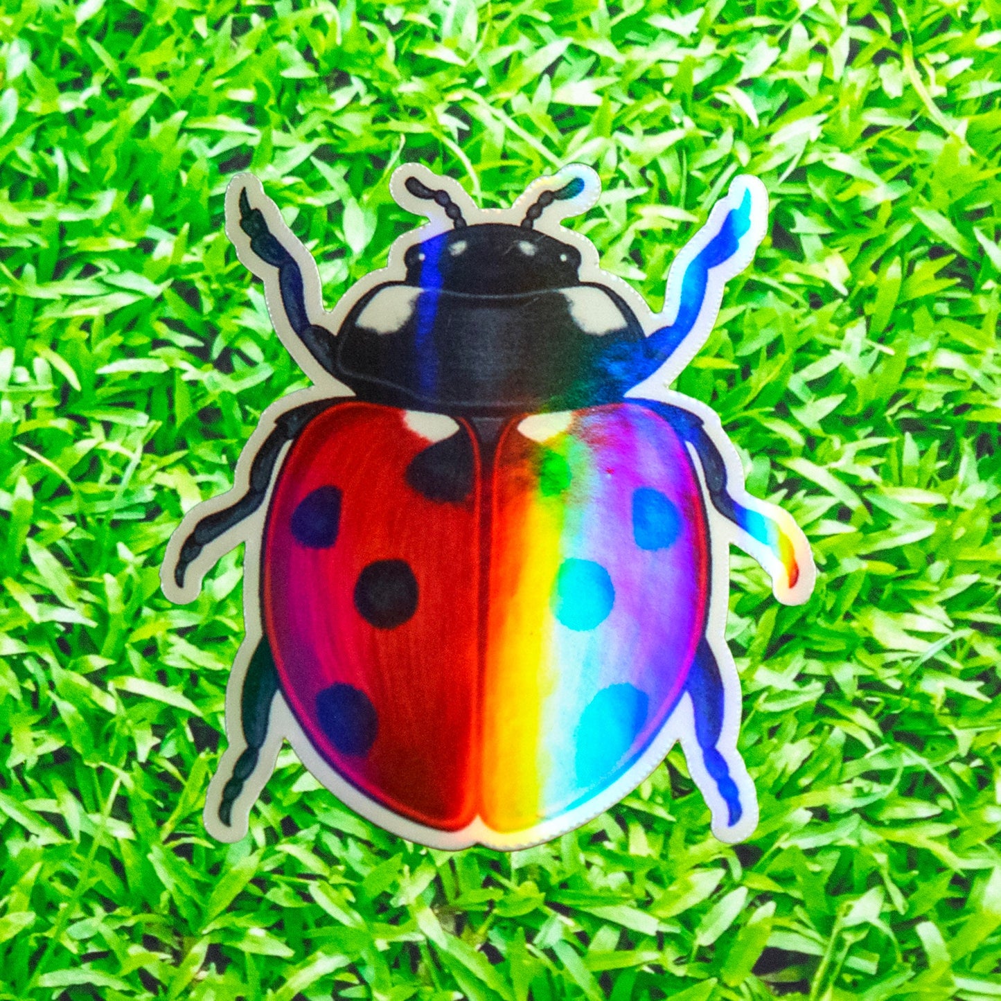 Ladybug Holograph Sticker / handmade artist vinyl sticker / nature stationery